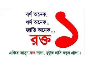 bd003
